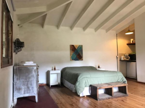 Estudio De las lavandas